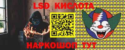 шишки Изобильный