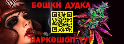 шишки Изобильный