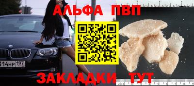 шишки Изобильный