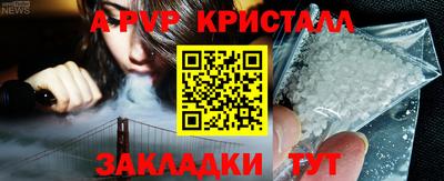 шишки Изобильный