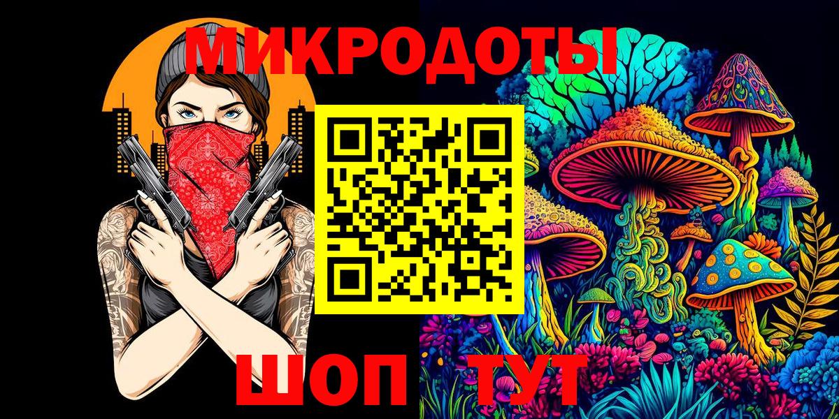 Псилоцибиновые грибы Psilocybe Ефремов